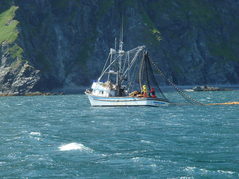 NOAA: Ocean Acidification Threatens Alaska Fisheries