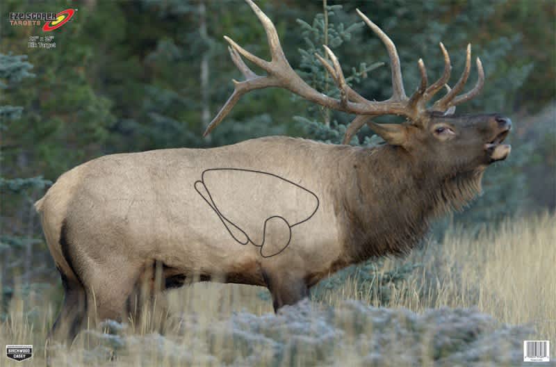 Add a Western Feel to your Next Shooting Session with Eze-Scorer Animal Targets