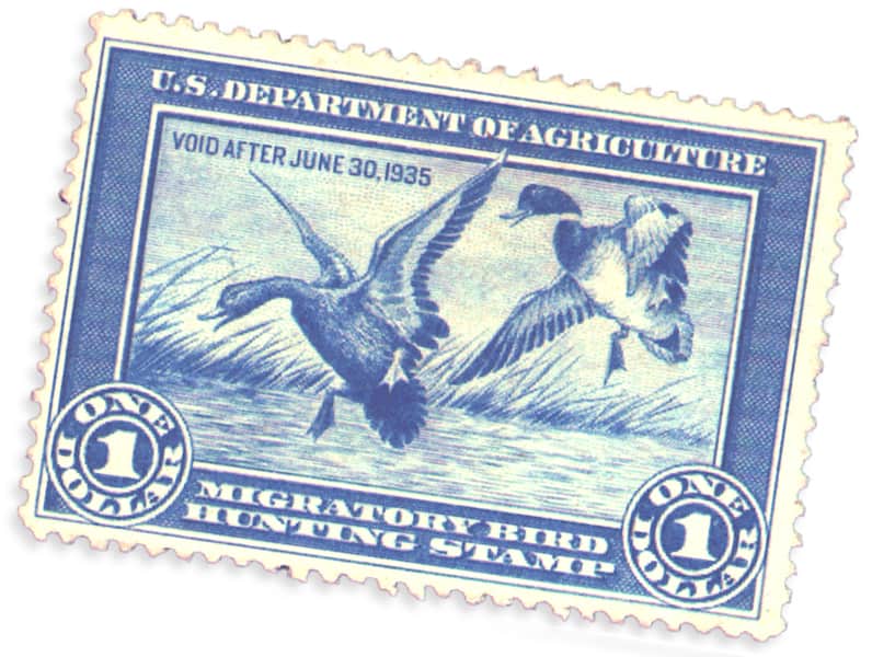The Duck Stamp Turns 80