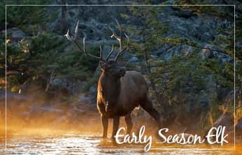 This Week on The Revolution – Early Elk Season