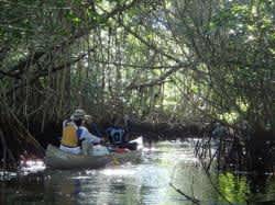 Win a Trip of a Lifetime: Call for Applicants for the Everglades Wilderness Writing Expedition