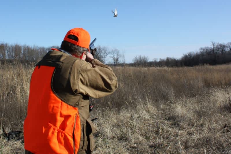 Make Shotgunning Practice Realistic for Success in the Field