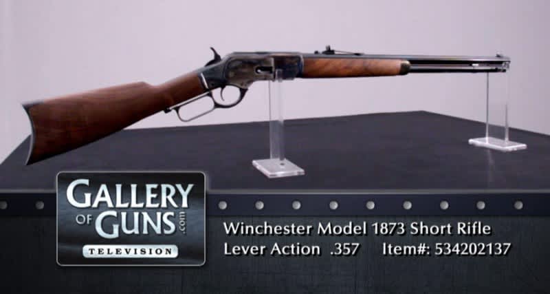 This Week on Gallery of Guns TV – Firearms Fundamentals
