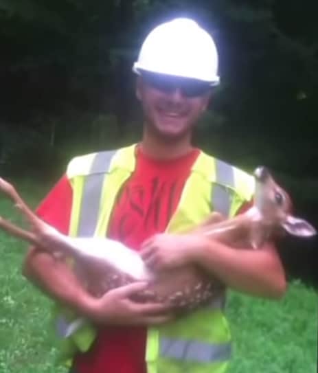 Video: Deer Fawn is Scared of Ground