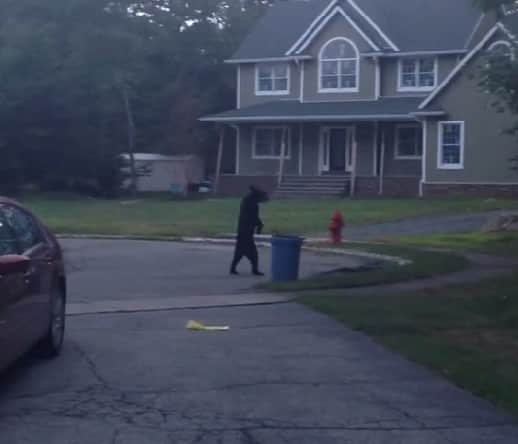 Video: New Jersey Resident Films Bear Walking Upright