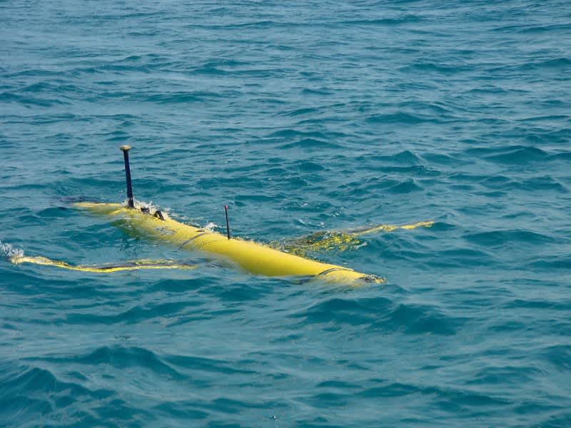 PETA Wants to Spy on Anglers with Submersible Drones