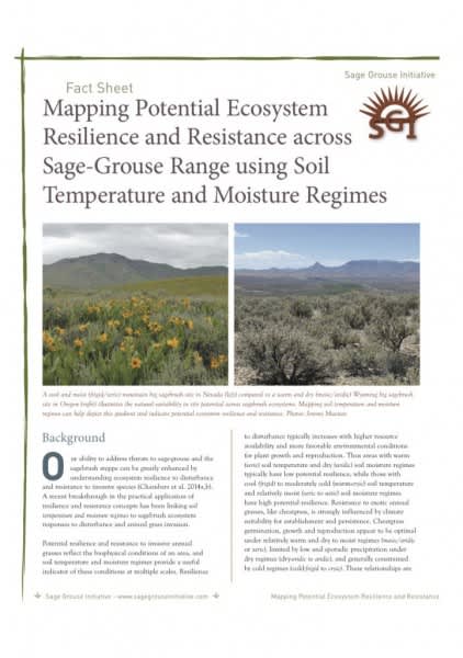 New Publication Helps Land Managers Strategically Reduce Wildfire and Invasive Species Threats in Sagebrush Ecosystem