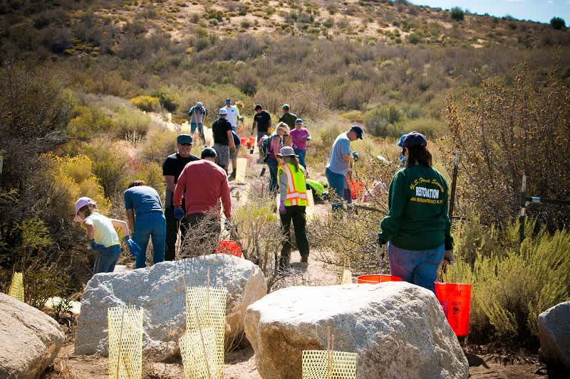 Yamaha Volunteers Log 200 Hours at Southern California’s Coxey Meadows