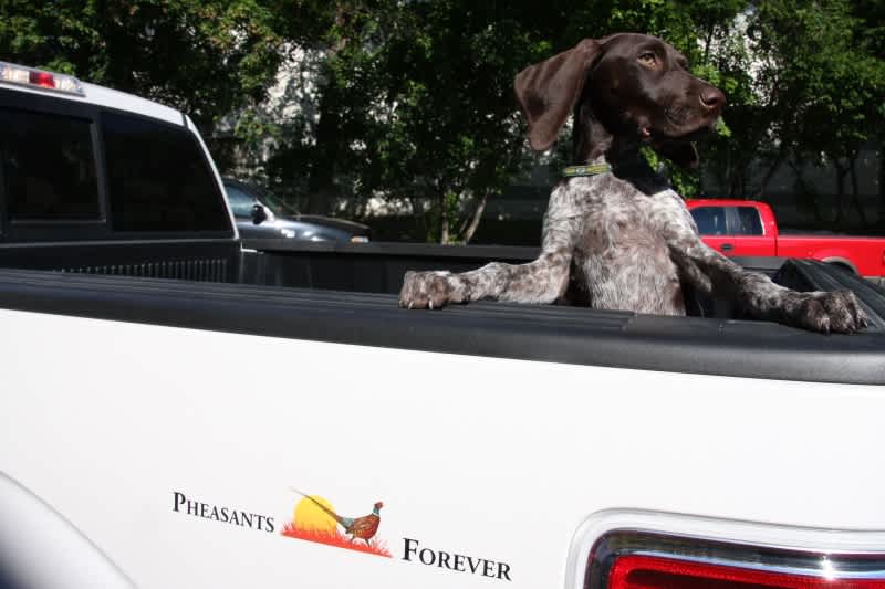 Pheasants Forever Edition Ford Trucks Hit the Road this October