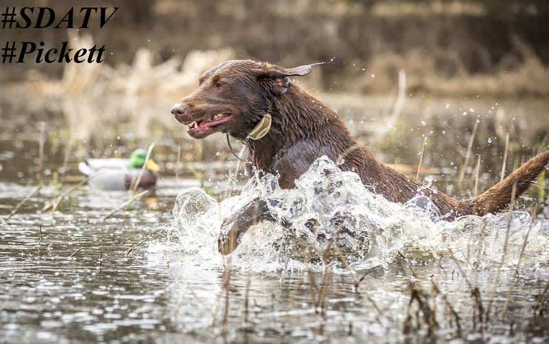 Cast n’ Blast Action at “The End of the World” Takes over SportingDog Adventures Newest Episode