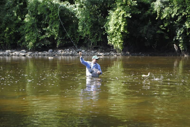 Fly Fishing the Flint River for Michigan Smallmouths