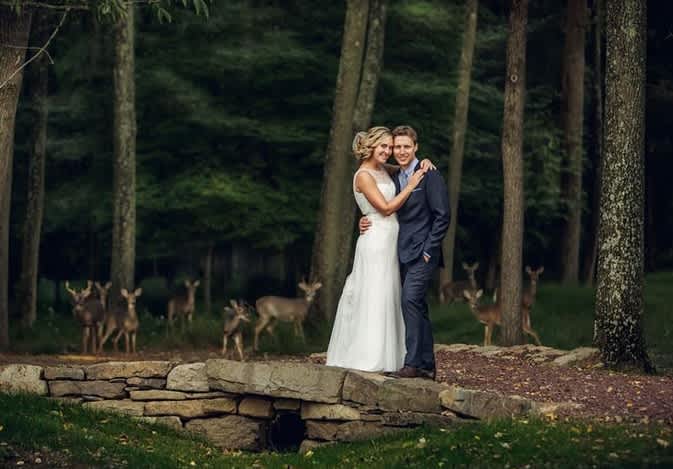 Deer Herd Crashes Wedding Photo Session