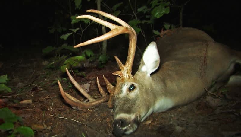 This Week, GrowingDeer.tv Presents Bow Hunting Whitetails – Opening Day, Buck Down