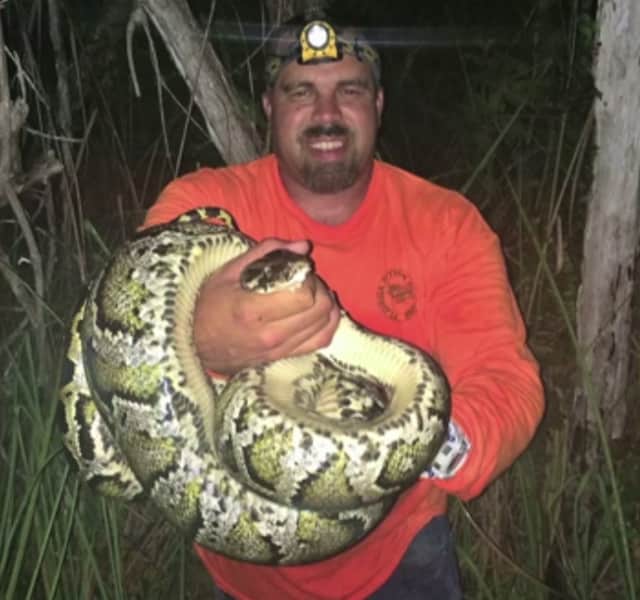 Video: Florida’s Bare-handed Python Hunter
