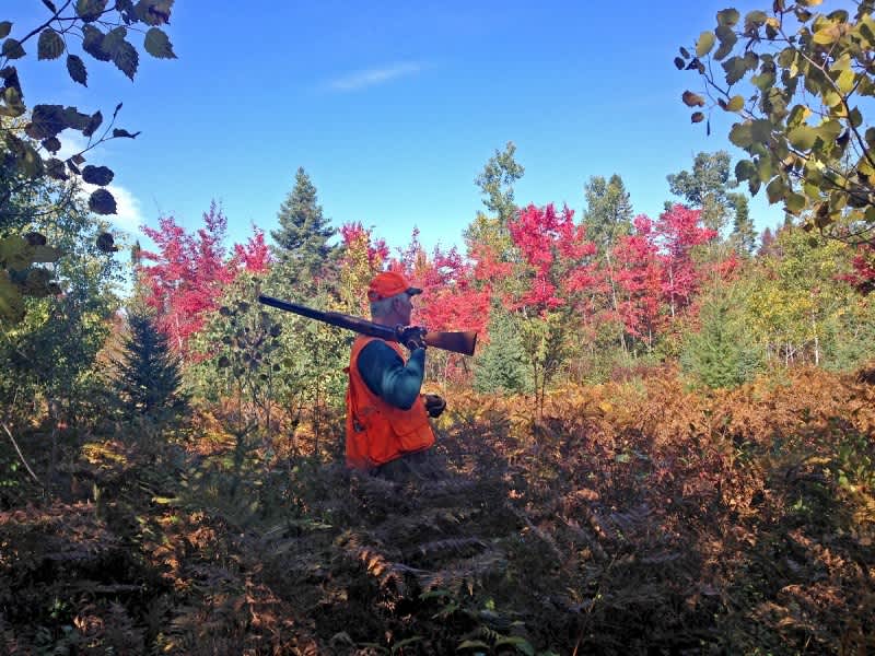 5 Reasons Why Everyone Needs to Experience Michigan Upland Hunting