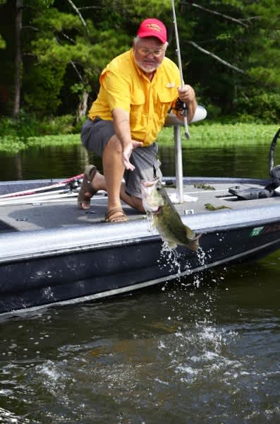 The Best Top-water Lures for Catching Big Fall Bass in the Grass