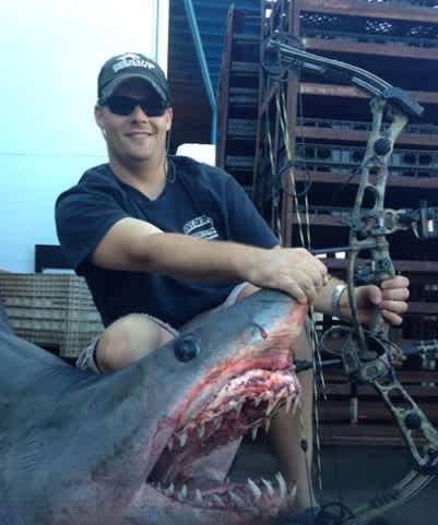 Bowfisherman’s Monstrous 809-pound Mako Shark Certified as World Record