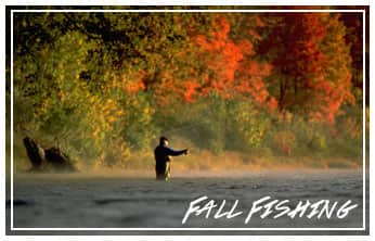 This Week on The Revolution – Fall Fishing