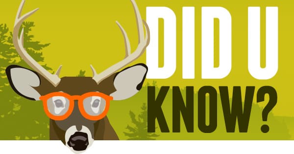INFOGRAPHIC: Deer Vision – What Every Hunter Needs to Know