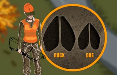 INFOGRAPHIC: Track a Buck Like a Pro