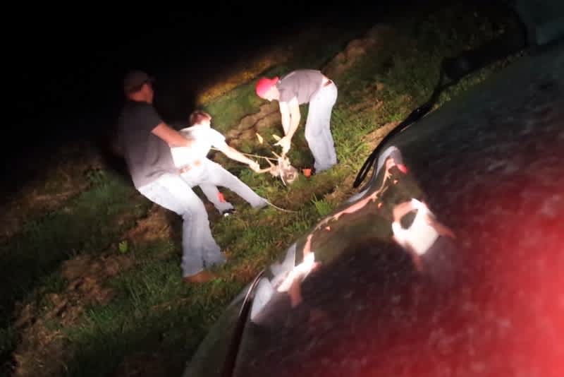 Video: 10-point Buck Rescued from Iowa Sinkhole