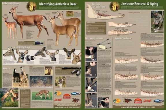 Oklahoma Department of Wildlife Conservation Puts QDMA in the Classroom