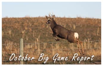 This Week on The Revolution – October Big Game Report