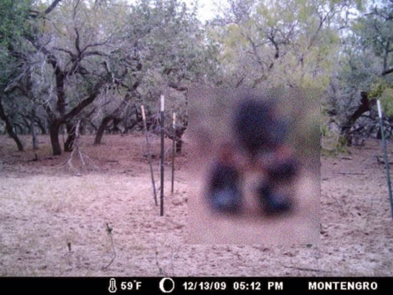 These Texas Hunters Never Expected to Find THIS on Their Trail Cam