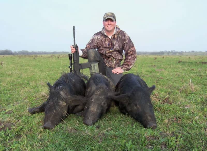 Texas Officials Declare October “Hog Out Month”