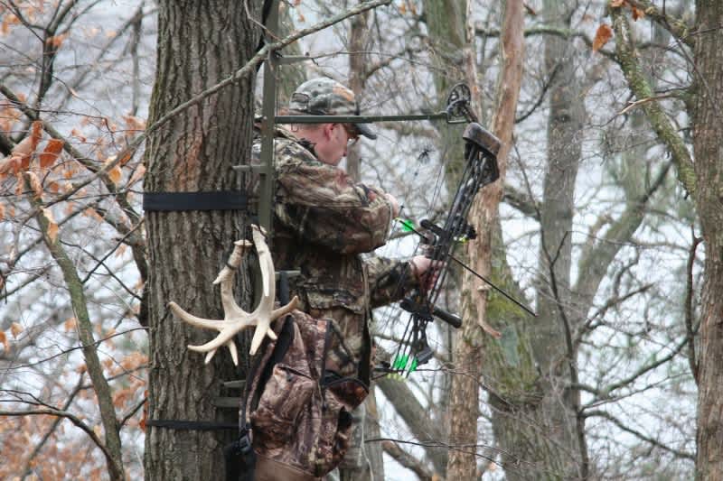 The Killing Tree: 4 Things That Make a Perfect Treestand Site