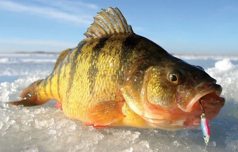 Go Small or Go Home: 10 Great Small Lakes for Ice Fishing