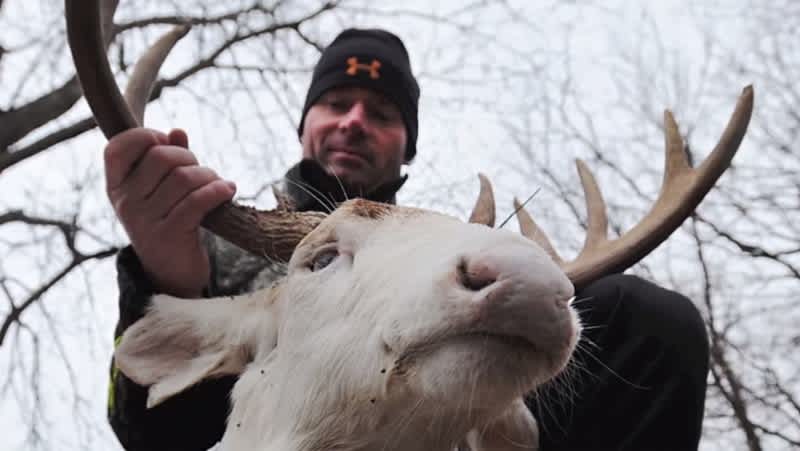 Missouri Hunter Harvests Old, Nearly Toothless 10-point Albino Buck