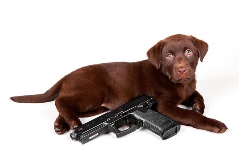 Photos: Puppies with Guns