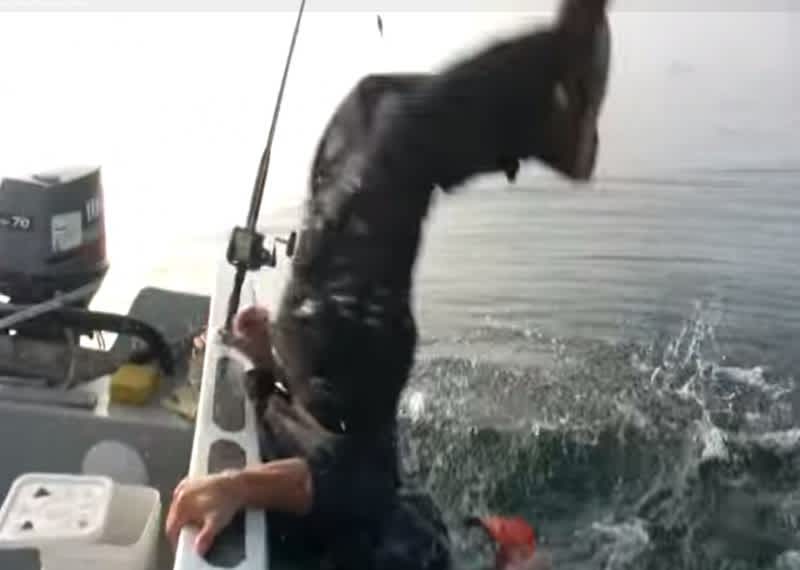 10 Great Fishing Fails Caught on Video