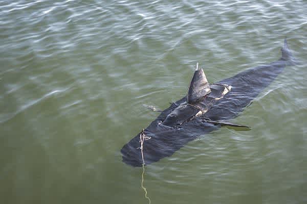 The US Navy’s New Aquatic Drone is a Cross Between a Tuna and a Shark