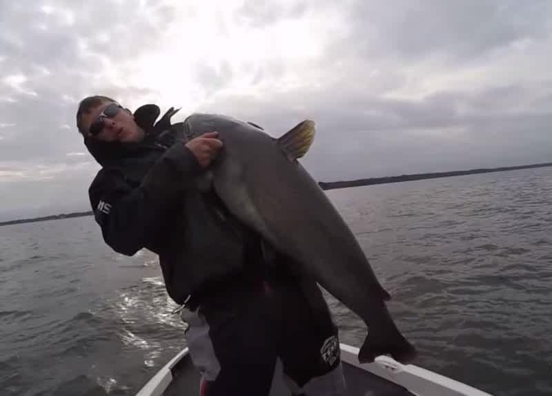 Video: Angler Lands Giant Catfish While Fishing for Crappie