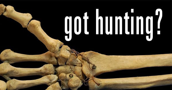 Study: Ancient Humans Developed Weaker Bones as They Hunted Less