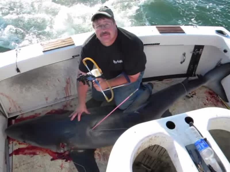 Video: Harvesting a 10-foot Shark with a Slingshot