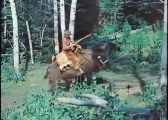 Video: It’s a Man on a Buffalo Chasing a Bear