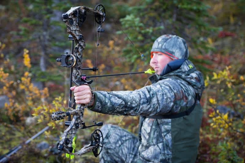 What’s the Best Draw Weight for a Bow?