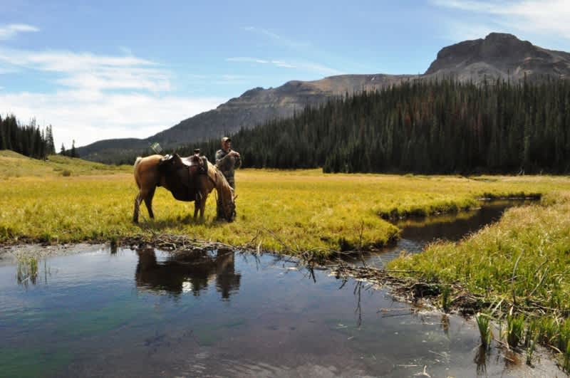 7 Bucket List Hunts You Can Start Planning Right Now