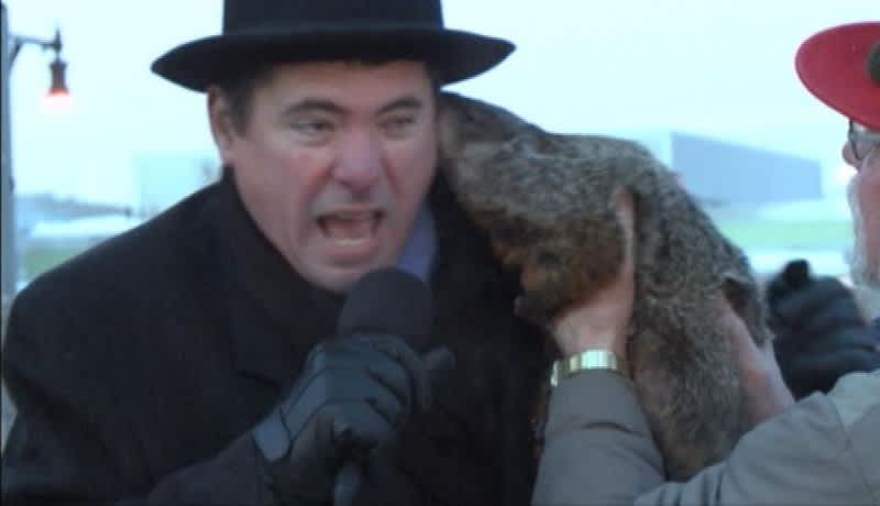 Groundhog Bites Wisconsin Mayor’s Face During Ceremony