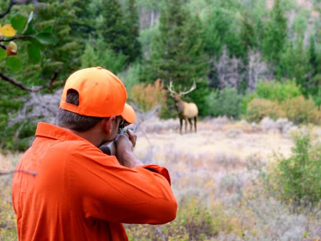 Quiz: How Much Do You Really Know About Hunting?