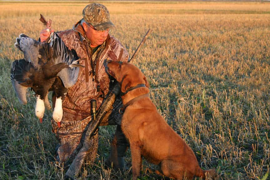 Why You Should Use an Outfitter for Spring Waterfowl Hunting
