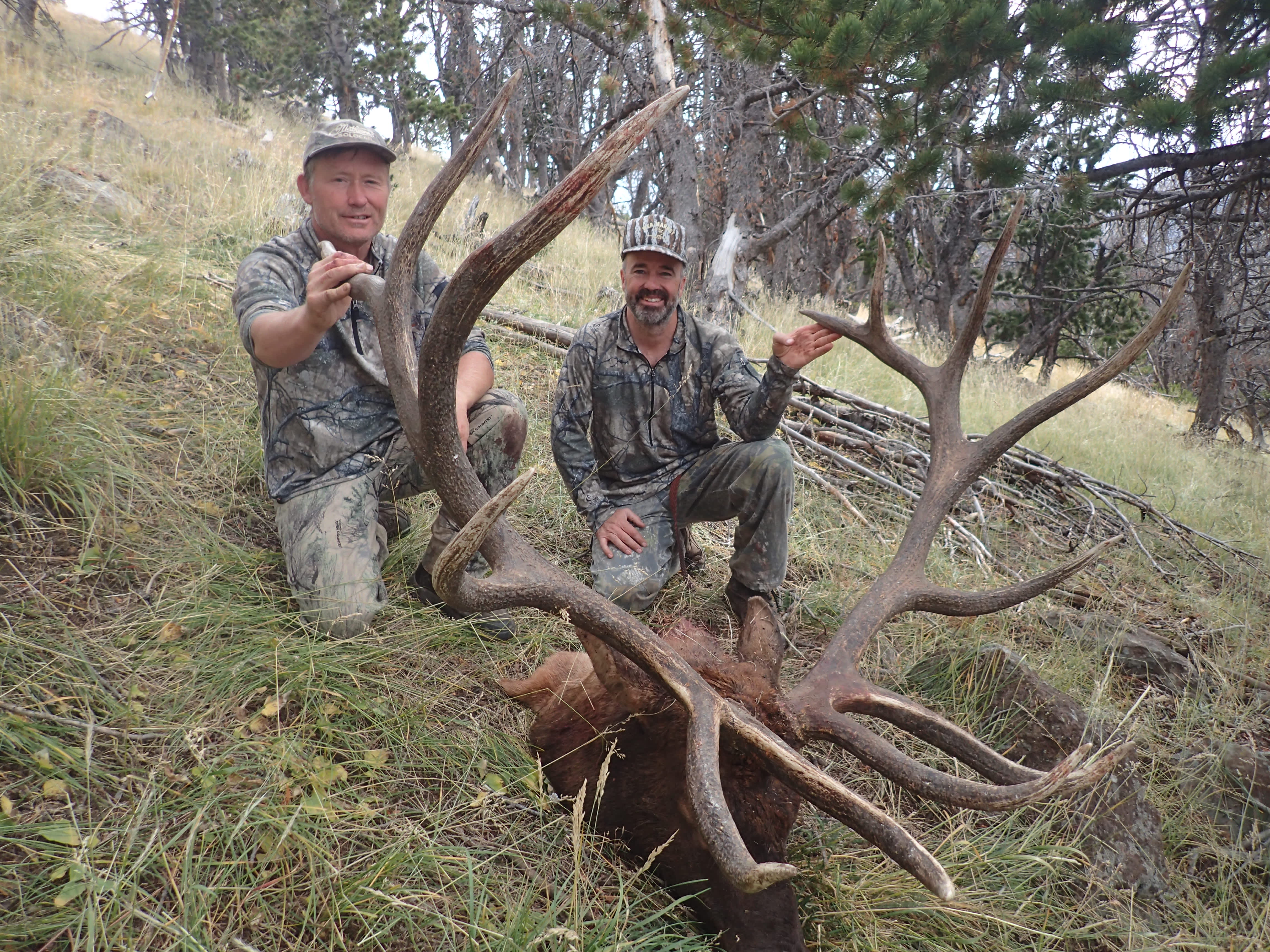 New World Record for Crossbow Elk Confirmed by SCI