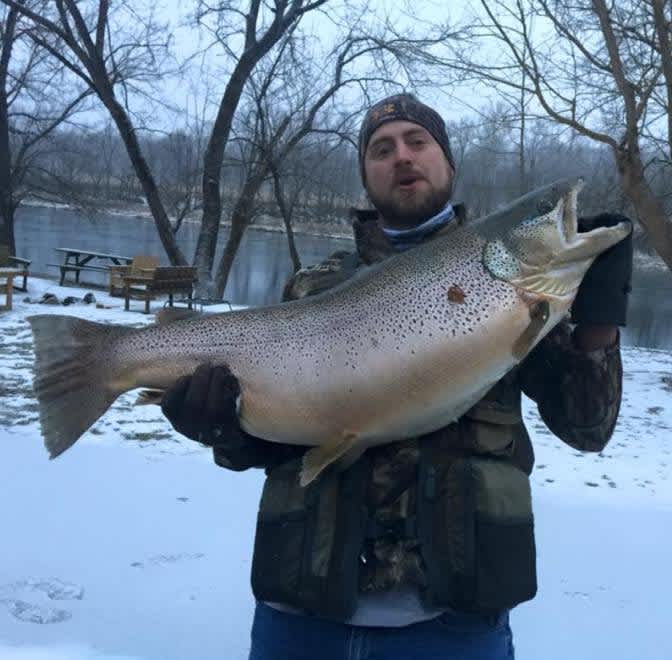 Angler Reels in Massive 38-pound Brown Trout in Arkansas Waters