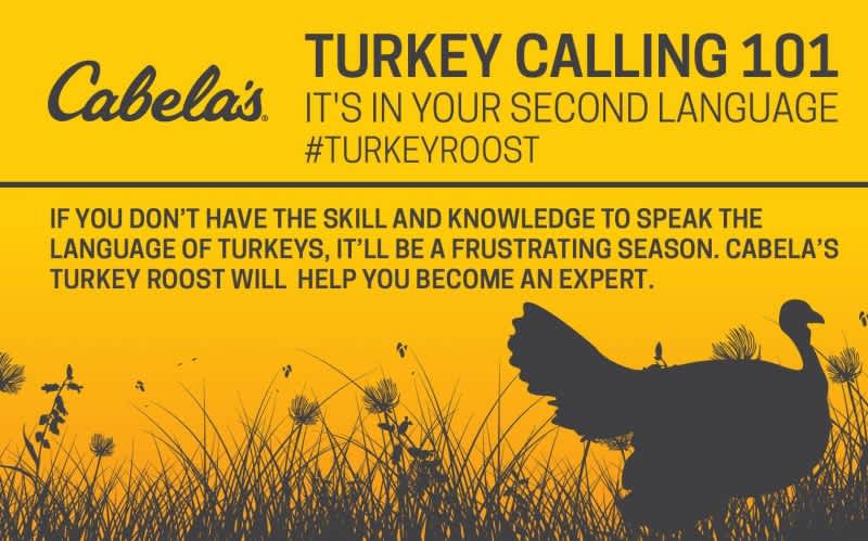 INFOGRAPHIC: Turkey Calling 101