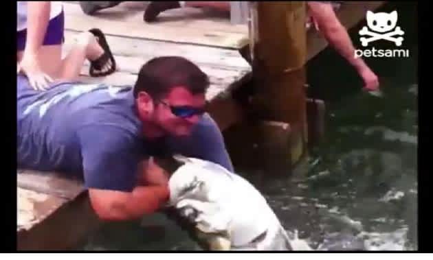 Video: Huge Fish Clamps Onto Florida Man’s Arm, Refuses to Let Go