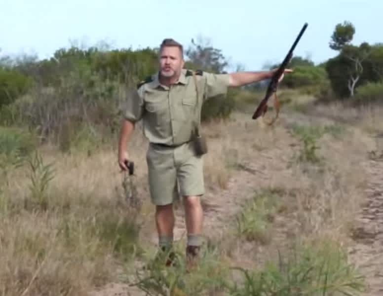 Game Ranger Angrily Storms Off after Tourist Endangers Group Near Wild Animal