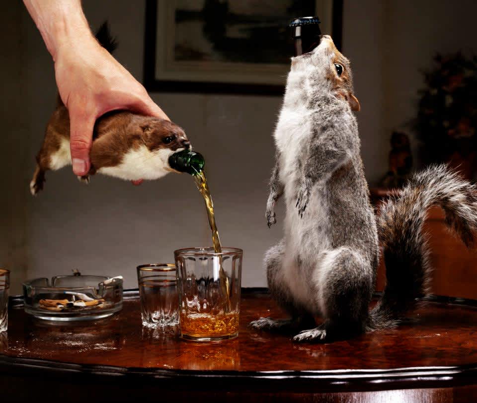 The Story of the World’s Strongest Beer and Why It’s Inside a Squirrel